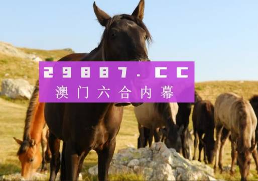 澳门管家婆资料一码一特一|全面贯彻解释落实